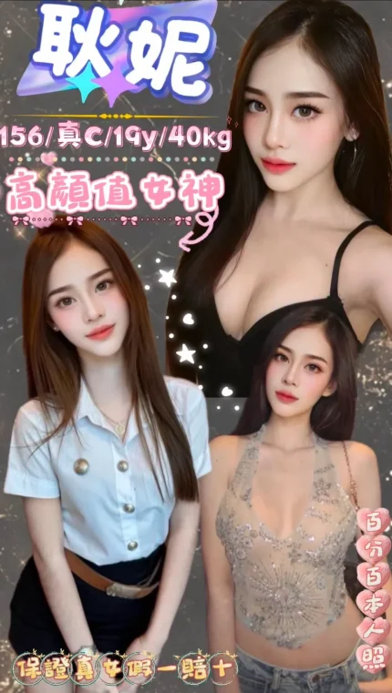 新北定點茶-耿妮