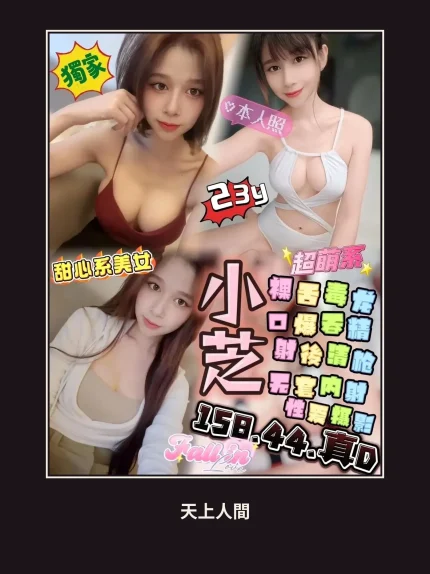 定點・嘉義・小芝｜嘉義西區
