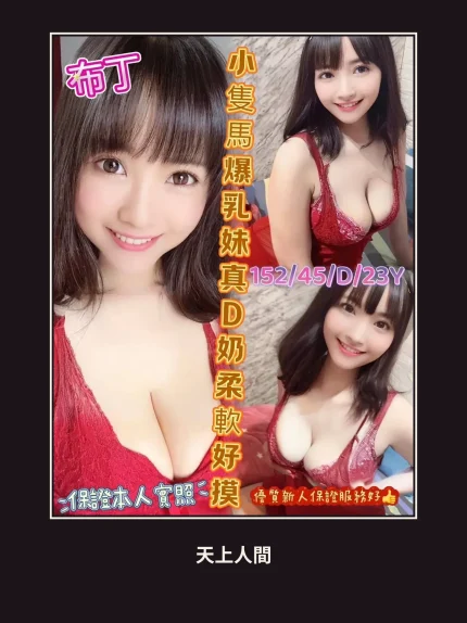 定點・嘉義・布丁｜嘉義大林鎮