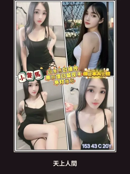 定點・嘉義・小隻馬｜嘉義西區