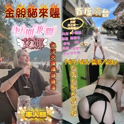 新竹定點茶-艾娜｜天上人間