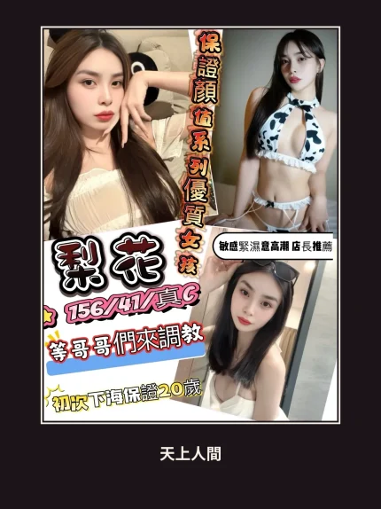定點・新竹・梨花｜新竹金山園區