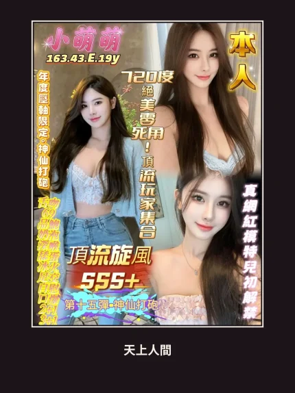 定點・高雄・小萌萌｜高雄苓雅區