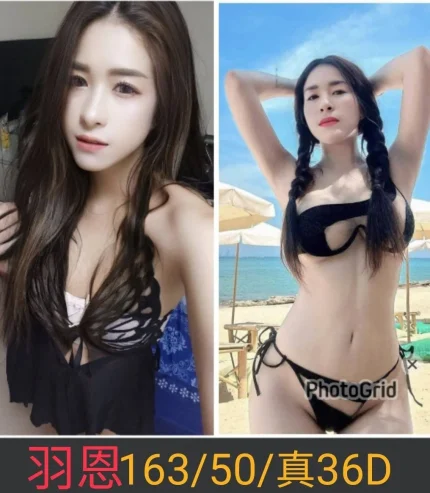 南投定點茶-羽恩|天上人間