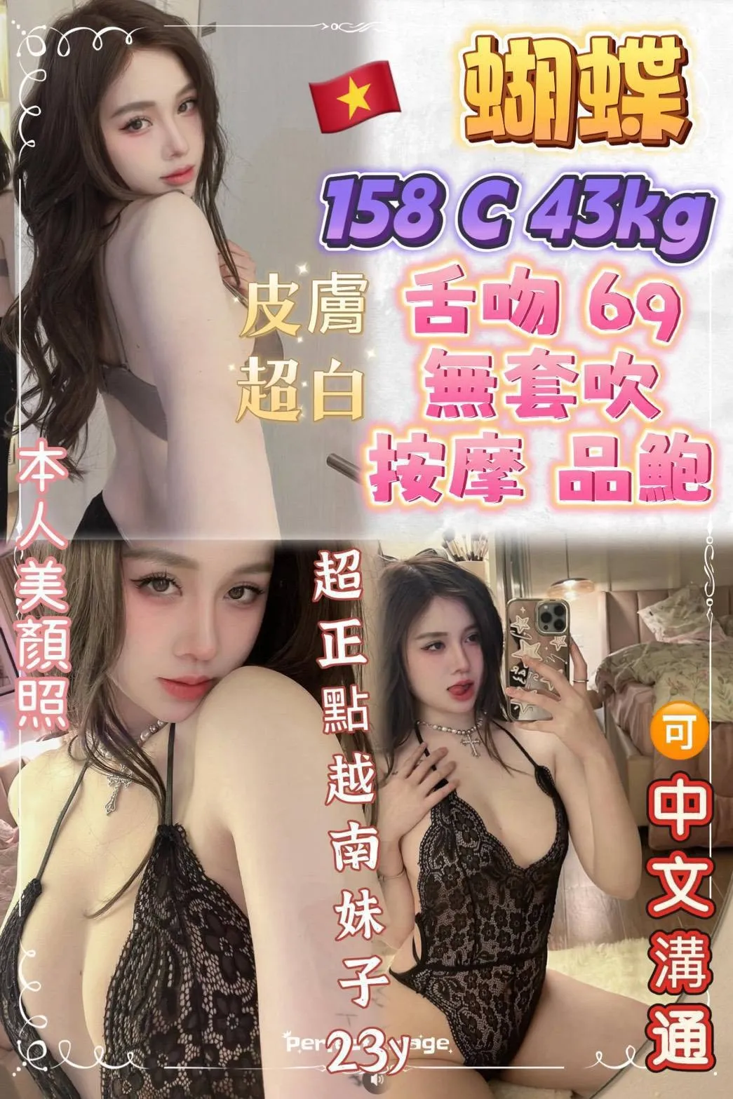 新北定點茶-蝴蝶|天上人間