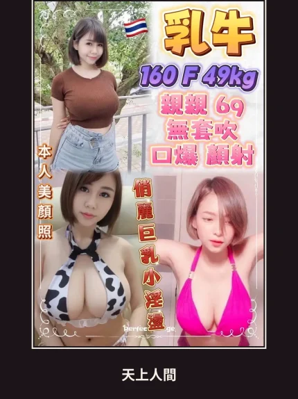 定點・新北・乳牛｜新北中和區