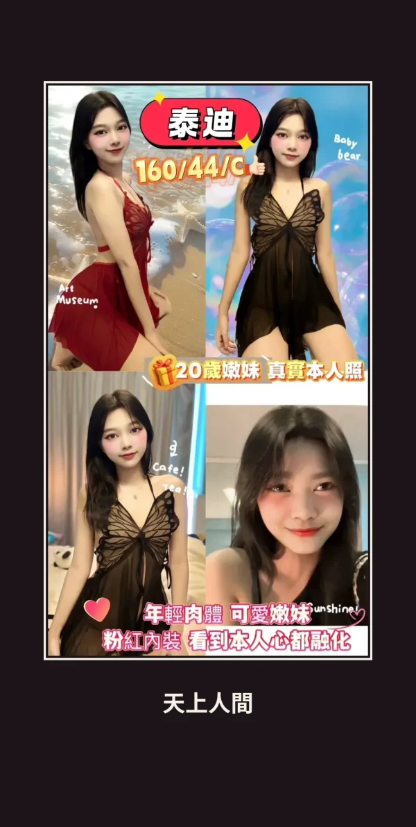 定點・屏東・泰迪 本人實照 1