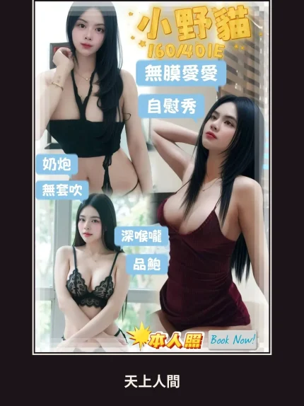 定點・屏東・小野貓｜屏東東港鎮