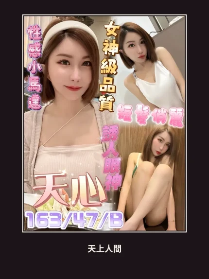 定點・屏東・天心｜屏東屏東市