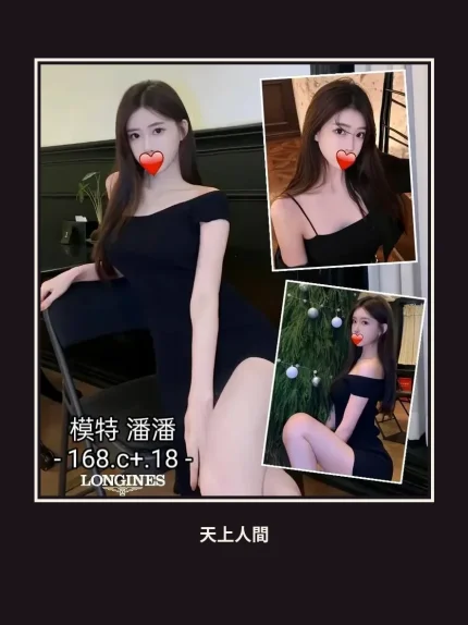 外送・台中・潘潘