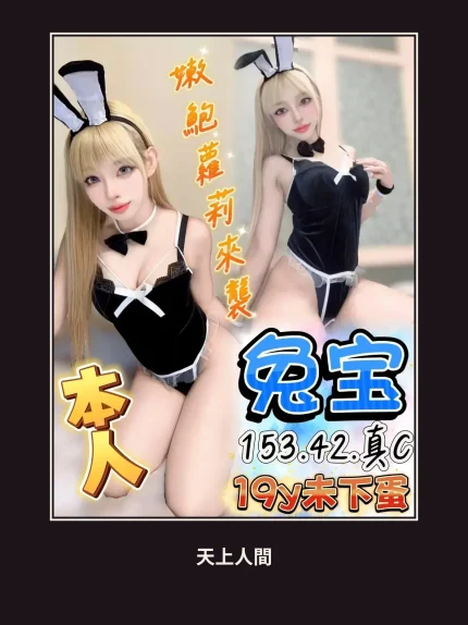 定點・台中・兔宝｜台中西屯區