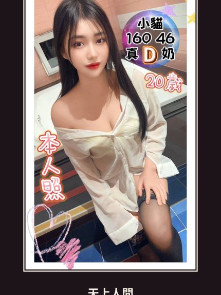定點・台中・小貓｜台中北區