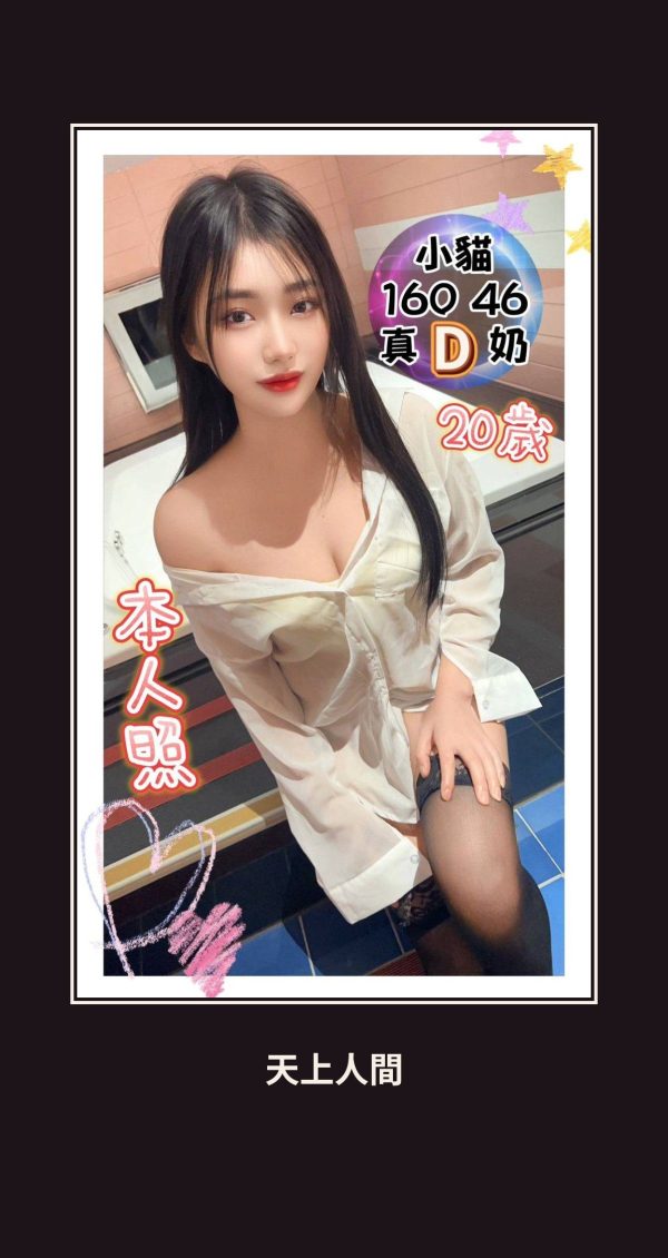 定點・台中・小貓 本人實照 1