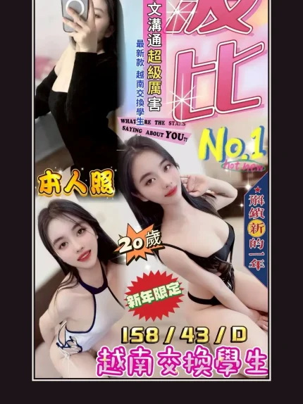 定點・台中・波比｜台中中區