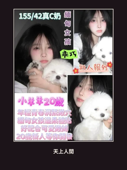 定點・台南・小羊羊｜台南北區