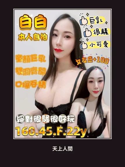 定點・台南・白白｜台南中西區
