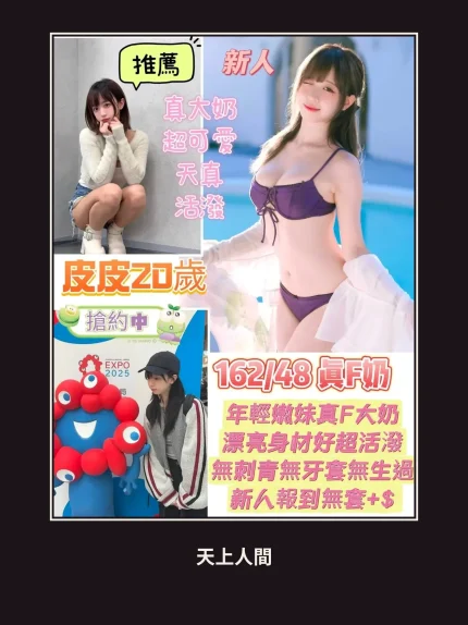 定點・台南・皮皮｜台南北區