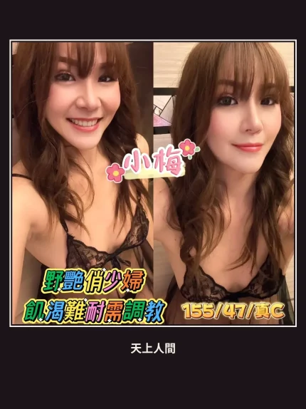 定點・台南・小梅｜台南新營區