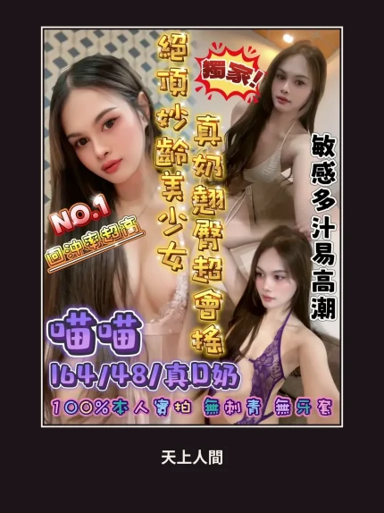 定點・台南・喵喵｜台南北區