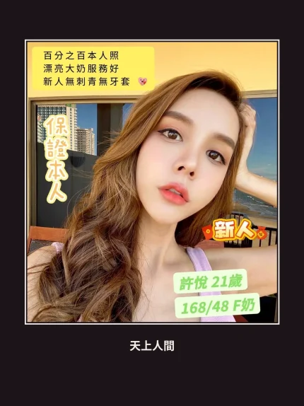 定點・台南・許悅｜台南北區
