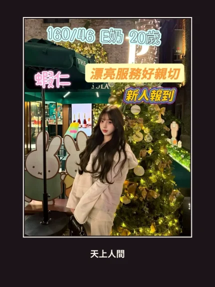 定點・台南・蝦仁｜台南新市區