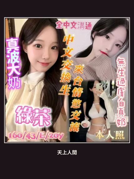 定點・台南・綠茶｜台南北區