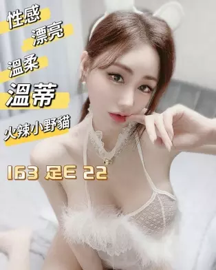 台北外送茶-溫蒂 163/E/22Y|天上人間