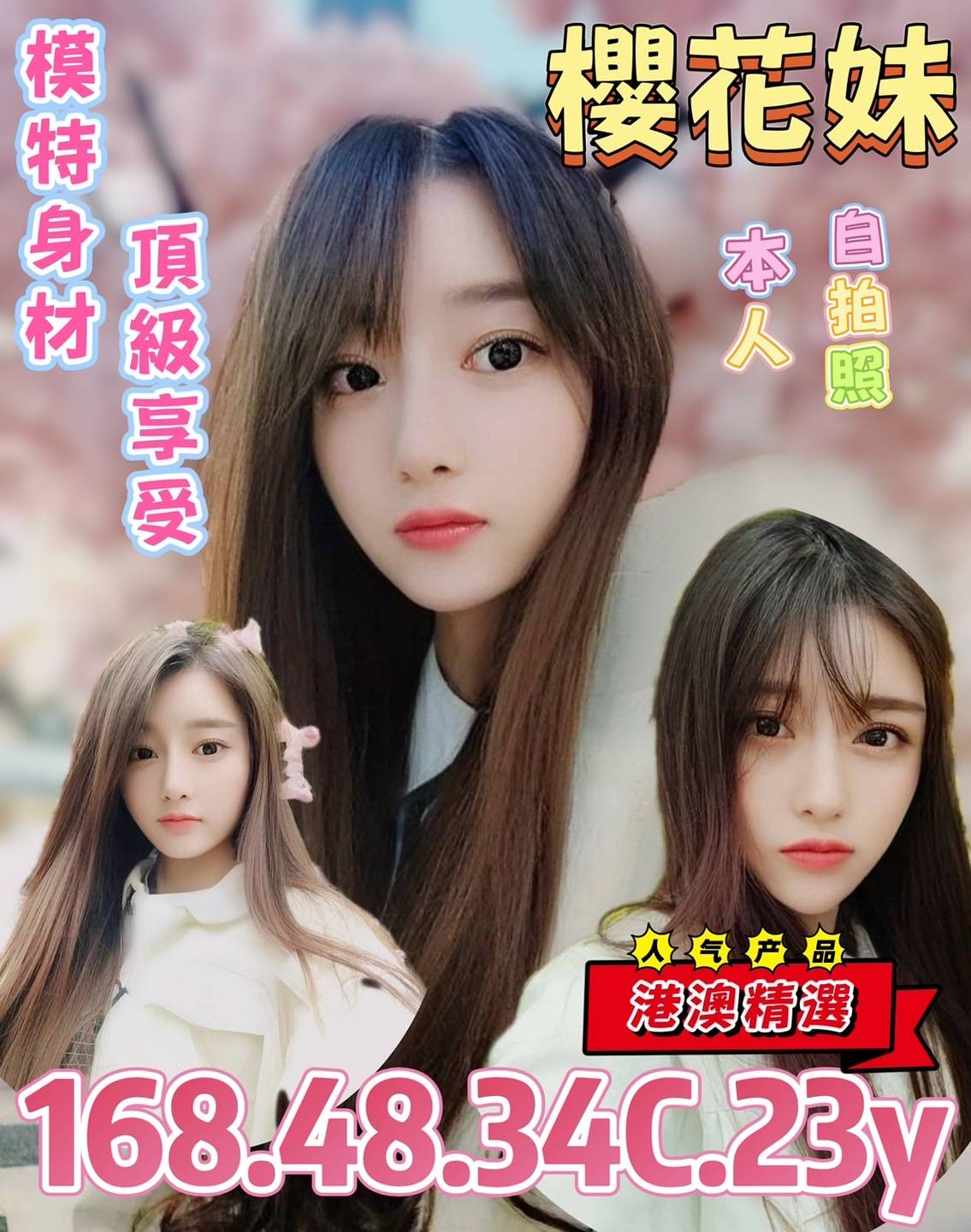 台北定點茶-櫻花妹|天上人間