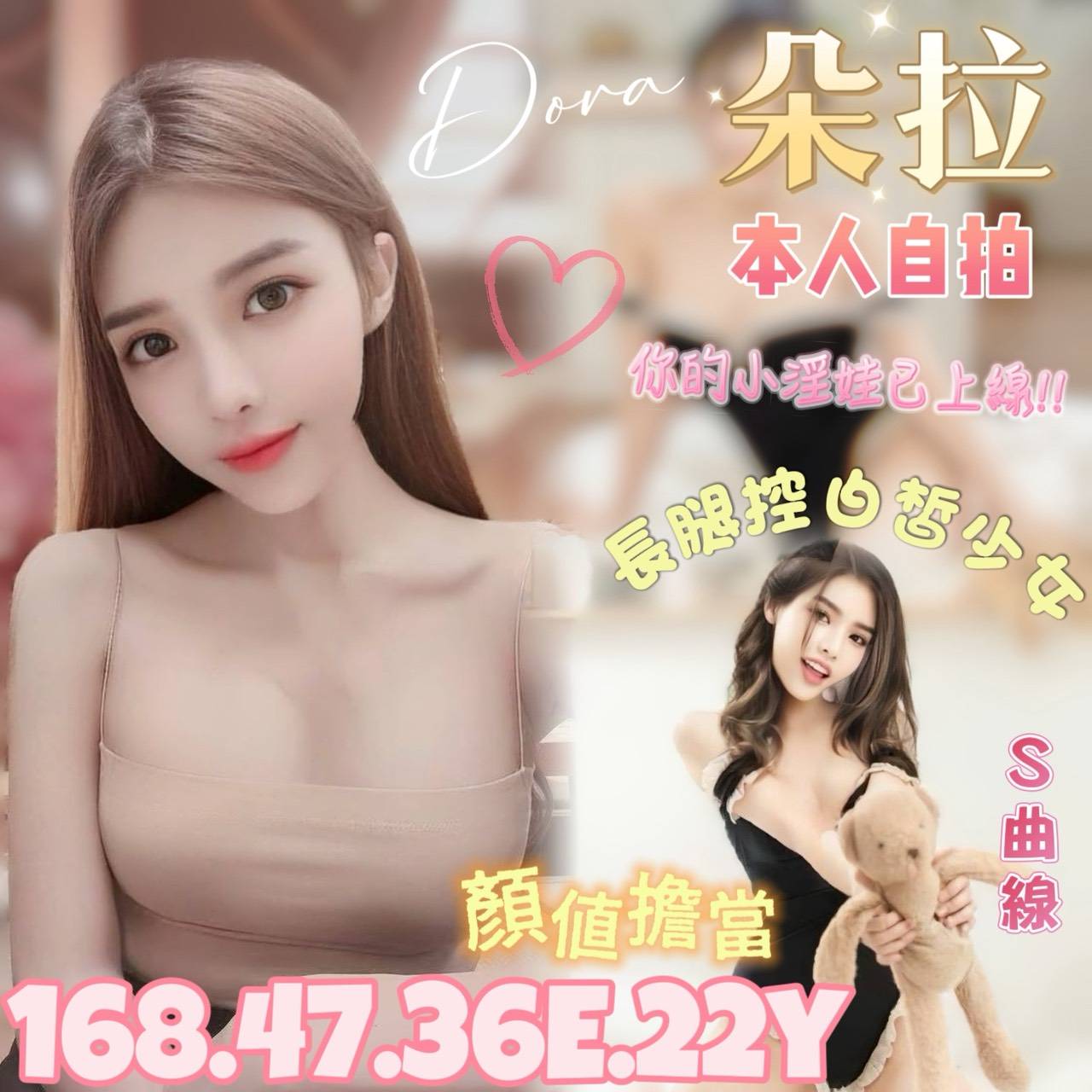 台北定點茶-朵拉|天上人間
