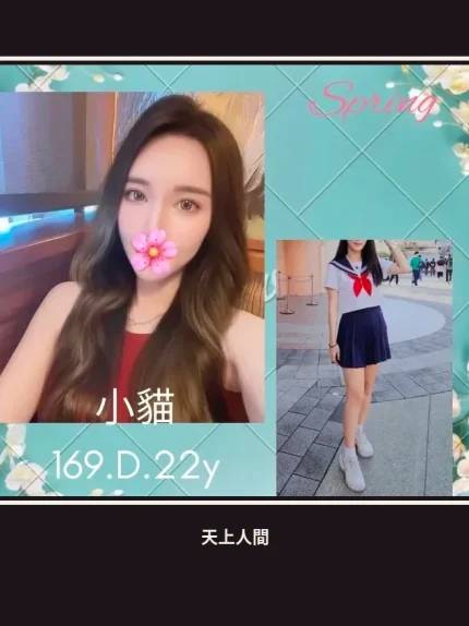 外送・台北・小貓