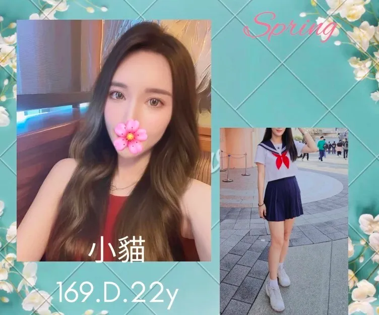 台北外送茶-小貓 169/D/22Y|天上人間