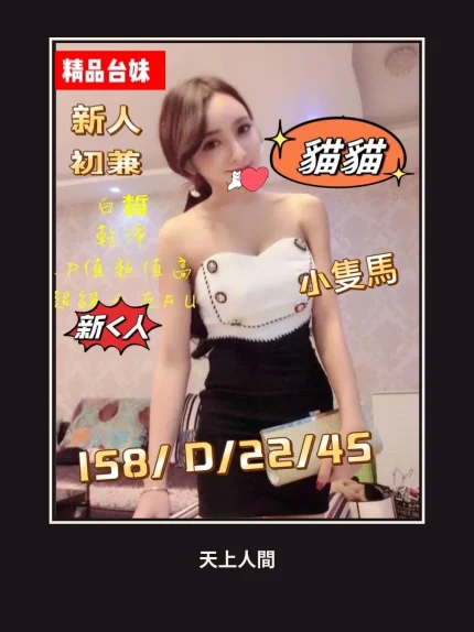 外送・桃園・貓貓
