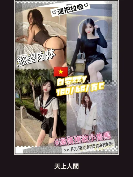 定點・桃園・白安｜桃園龍潭區