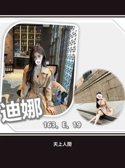 外送・桃園・迪娜