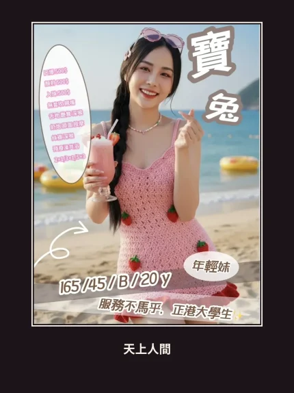 定點・新竹・寶兔｜新竹金山園區
