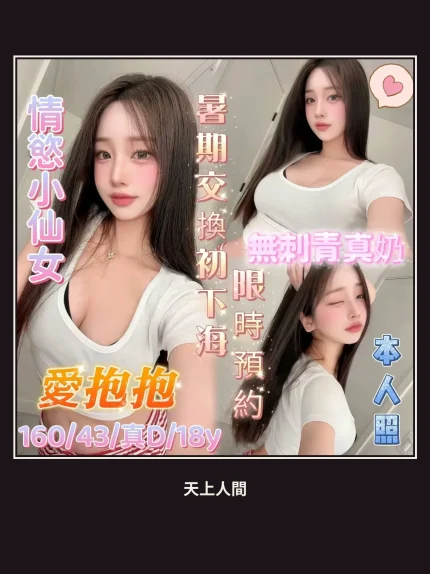 定點・台南・愛抱抱｜台南北區