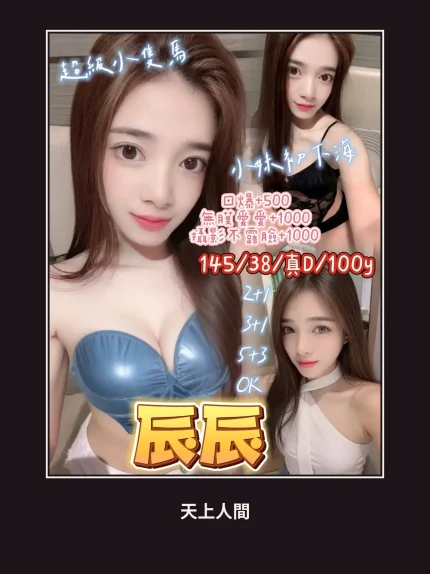 定點・桃園・辰辰｜桃園觀音區